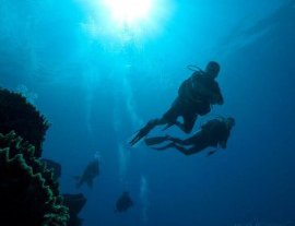 Babieca Dive Center-Completa un Curso de Aguas Abiertas en Quintana Roo