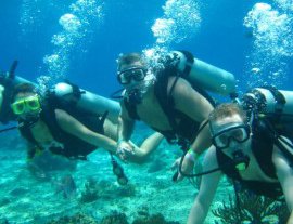 V.i.p Divers-Bucea con profesionales