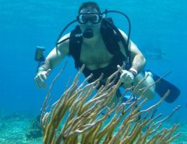 V.i.p Divers-Bucea con profesionales