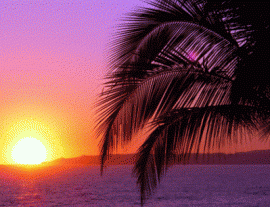 Pegaso Chartering-Enjoy a sunset sail in Cozumel