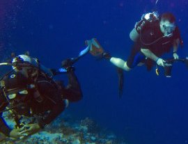 Blue Magic Scuba-Conoce la vida acuática, buceando con Blue Magic