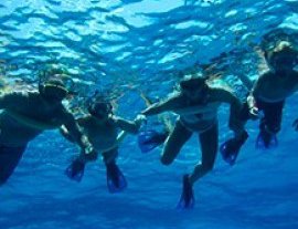 Tigers Adventures-Enjoy a fun snorkeling tour in Riviera Maya, Cozumel