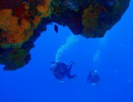 Dive With Cristina-Descubra el mundo del Buceo en Aguas Subtropicales