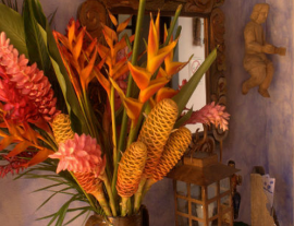 Hotel Casa Cristina-Rodéate de paisajes impresionantes y comodidad mientras te relajas en este bello hotel