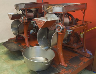 Cacao Junajpu-The chocolate farm tour, learn all about processing cacao!