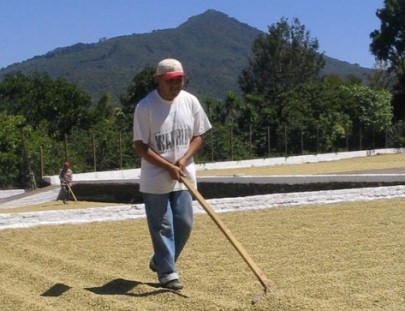 Experiencias Epicas El Salvador-Coffee Tour in El Salvador 