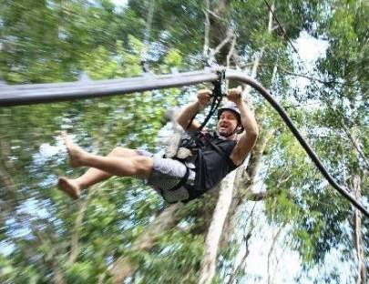 Rain Forest Adventures-Fly in the air  with canopy at Rainforest Adventures
