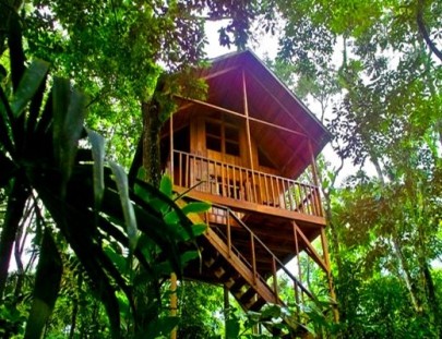 Hospédate en una casa en el árbol! - Tree Houses Hotel
