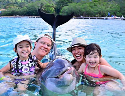 Anthony`s  Key Resort-Dolphin Swim & Snorkel