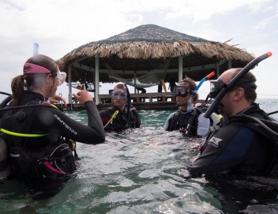 Barefoot Divers-Lear to dive as a professional in Roatán`s crystal waters