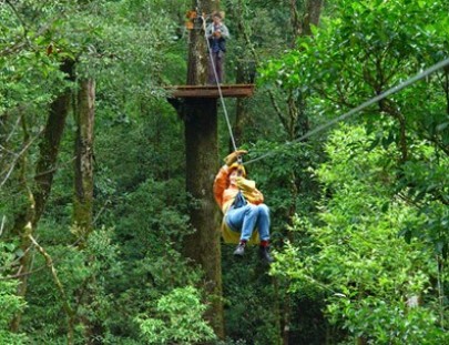 Roatan Henry`s Tour-Enjoy the adrenaline of Ziplining through the Roatán forest