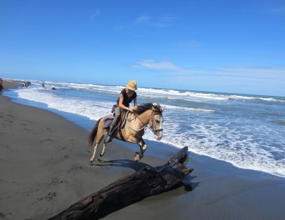 Pasea a caballo por las playas de Puerto Viejo - Caribe Horse Riding Club