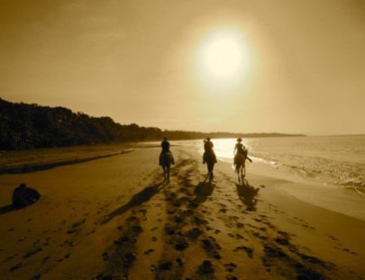 Caribe Horse Riding Club-Enjoy a Horseback Riding ride on the beaches of Puerto Viejo