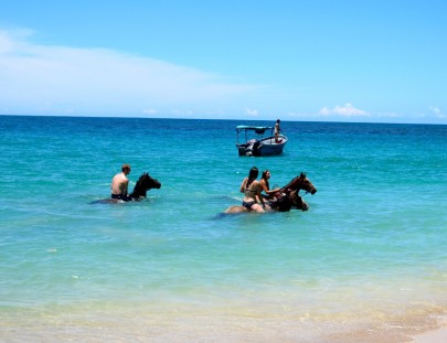 Caribe Horse Riding Club-Enjoy a Horseback Riding ride on the beaches of Puerto Viejo