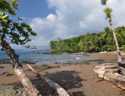 Tierra Verde Aventuras-Day Cruise to Tortuga Island