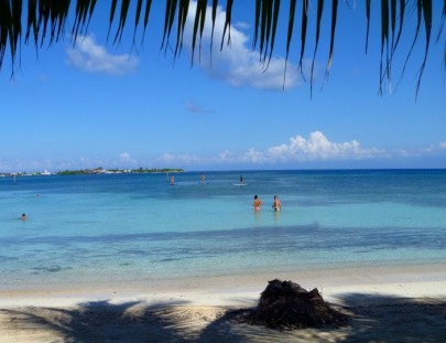 Paddle Utila-Paddleboard around Utila´s clear waters