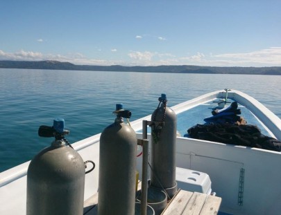Deep Blue Diving-Great Diving Excursions in Playas del Coco