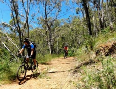 Tours de Ciclismo de Montaña - Bogo Travel Tours