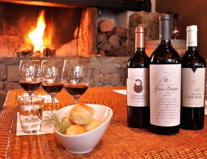 Vinos Clos De Chacras-Visit us and taste our delicious wines