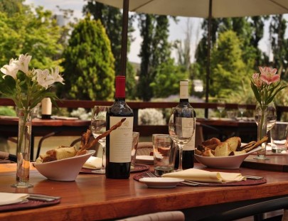 Vinos Clos De Chacras-Visit us and taste our delicious wines