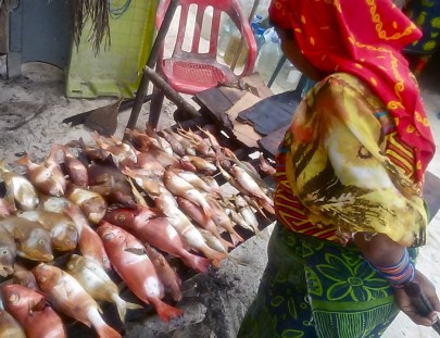 San Blas Adventures-2 Day Island Hopping in San Blas