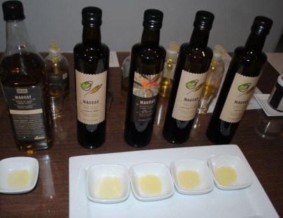 Olivicola Maguay-Taste our different olive oils