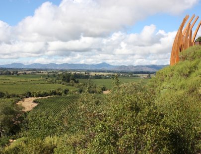 Wine Tour around Colchagua Valley - Uncorked Wine Tours